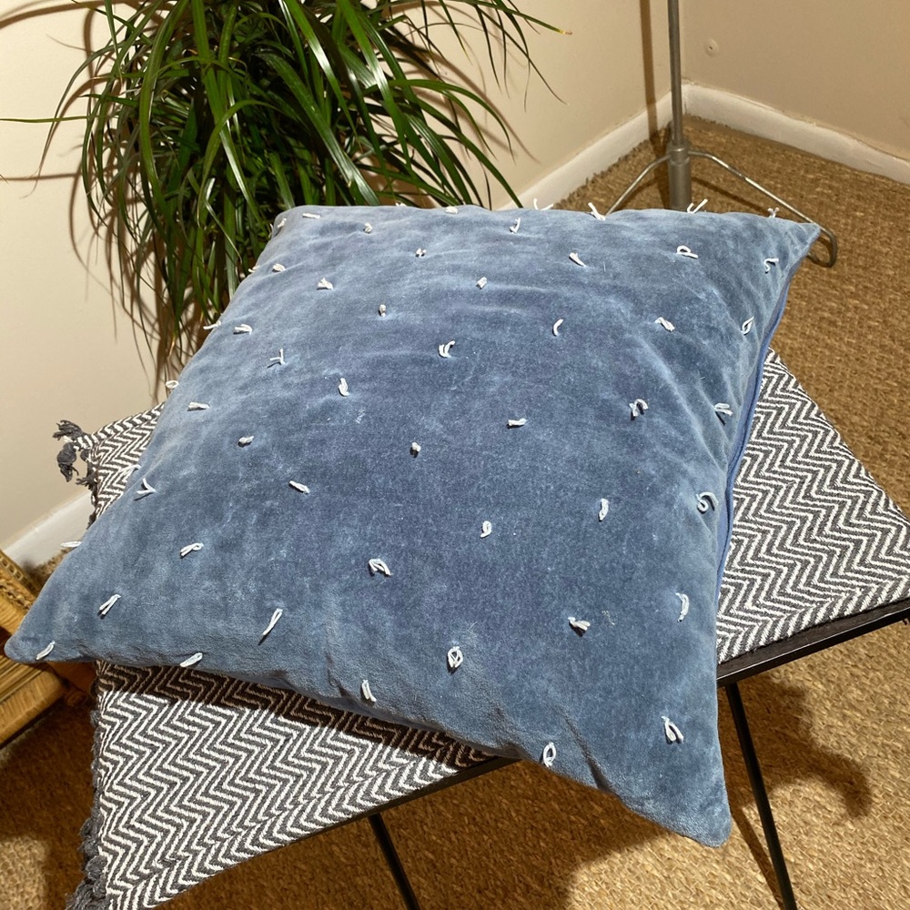 Blue tasseled throw pillow